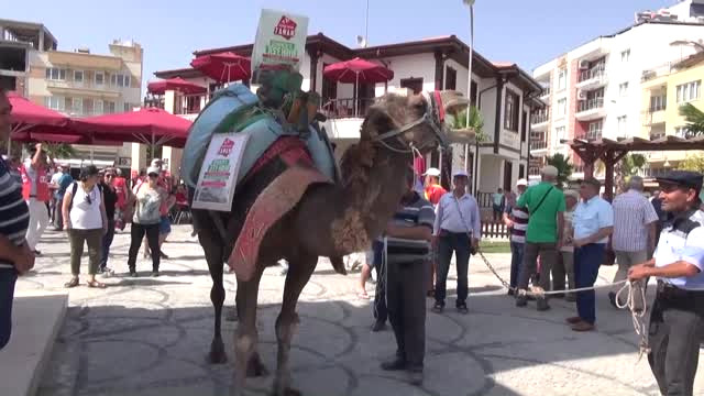 Germencik’te Jes Eylemi