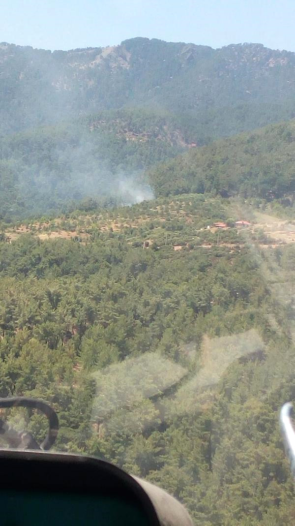 Aydın’daki Yangın Ormanlık Alana Sıçramadan Söndürüldü