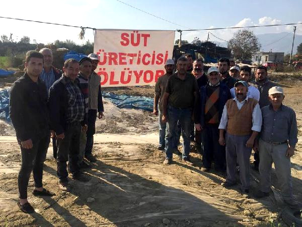 Aydın’da Süt Üreticileri Dertli