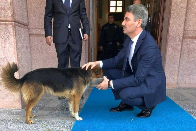 Vali Aydın Baruş’un Hayvan Sevgisi