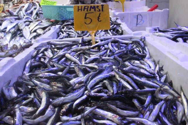 30 Liraya Kadar Çıkan Hamsi 5 Liraya Düştü