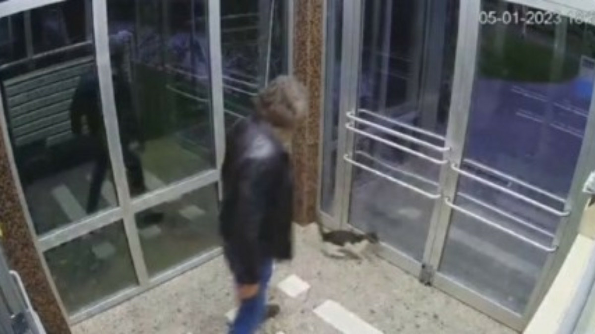 İstanbul’da bir kişi binaya kapattığı kediyi tekmeledi