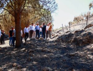 Aydın’da AK Parti Heyeti Yangın Bölgesinde İnceleme Yaptı