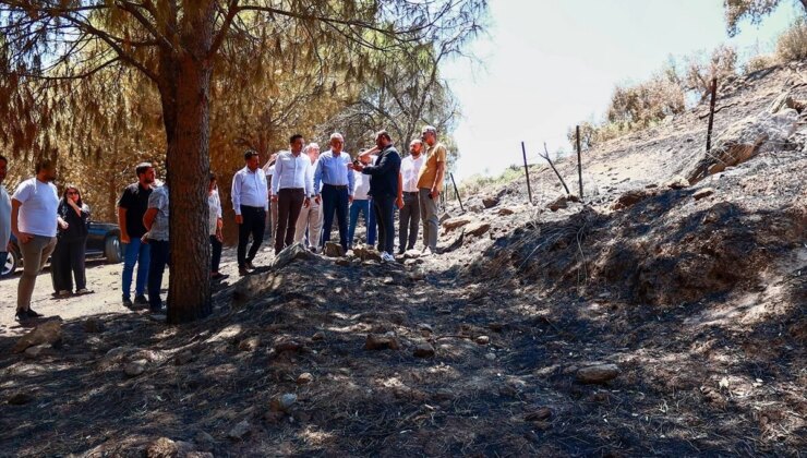 Aydın’da AK Parti Heyeti Yangın Bölgesinde İnceleme Yaptı
