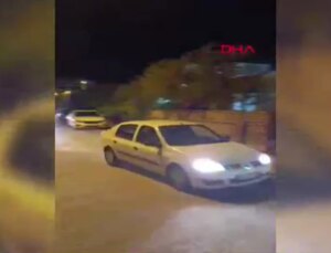 Aydın’da Hint keneviri operasyonu: 35 kök kenevir ele geçirildi