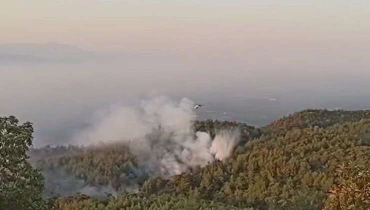 Aydın’da Orman Yangını 2. Gününde Devam Ediyor