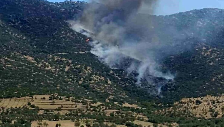 Aydın’ın Nazilli ilçesinde makilik alanda çıkan yangın söndürülüyor
