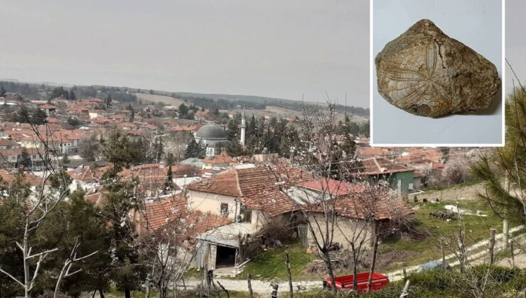Köyünde yürüyüş yaparken buldu! Milyonlarca yıllık