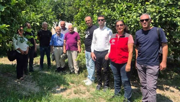 Muğla’da Turunçgilde Biyotop Odaklı Uğraş